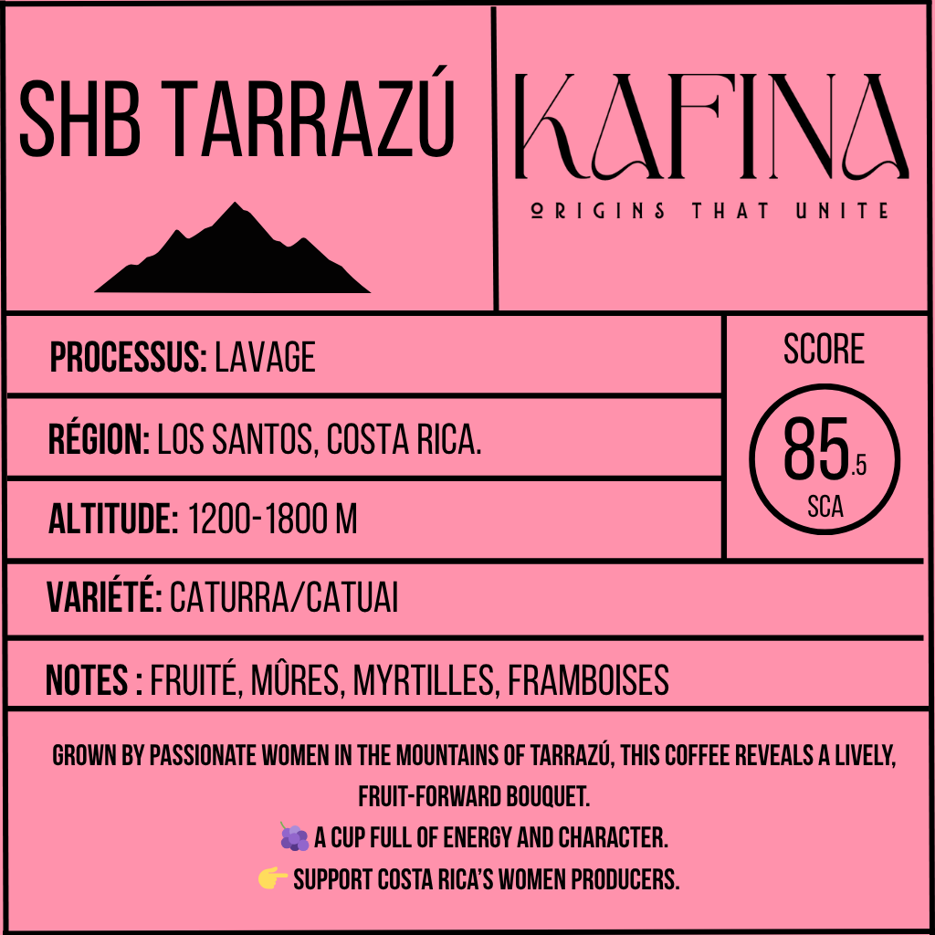 🇨🇷 Costa Rica –Mujeres de Tarrazú