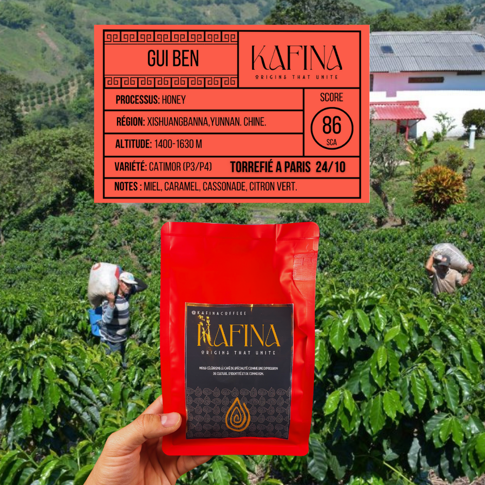 🇨🇳 Chine – Gui Ben Honey 250gr