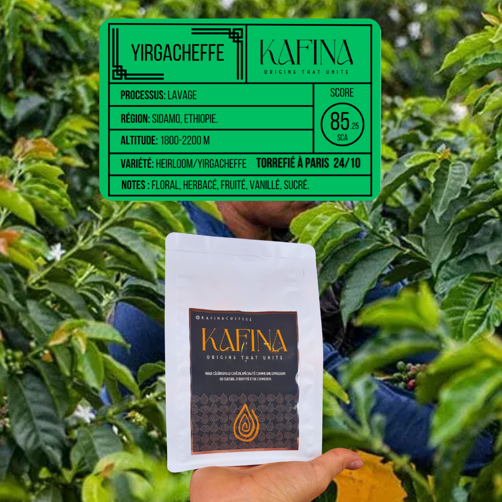 🇪🇹 Etiopía Yirgacheffe Gersi